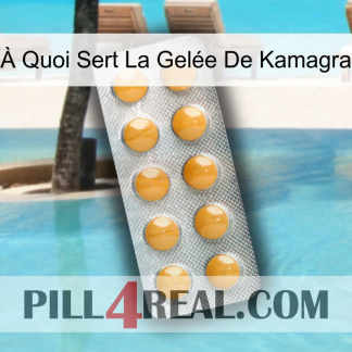 À Quoi Sert La Gelée De Kamagra levitra1